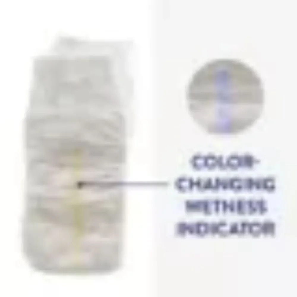 Male Doggie Diaper Disposable Wraps